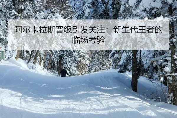 a-er-ka-la-si-jin-ji-yin-fa-guan-zhu-xin-sheng-dai-wang-zhe-de-lin-chang-kao-yan-2-140.jpg